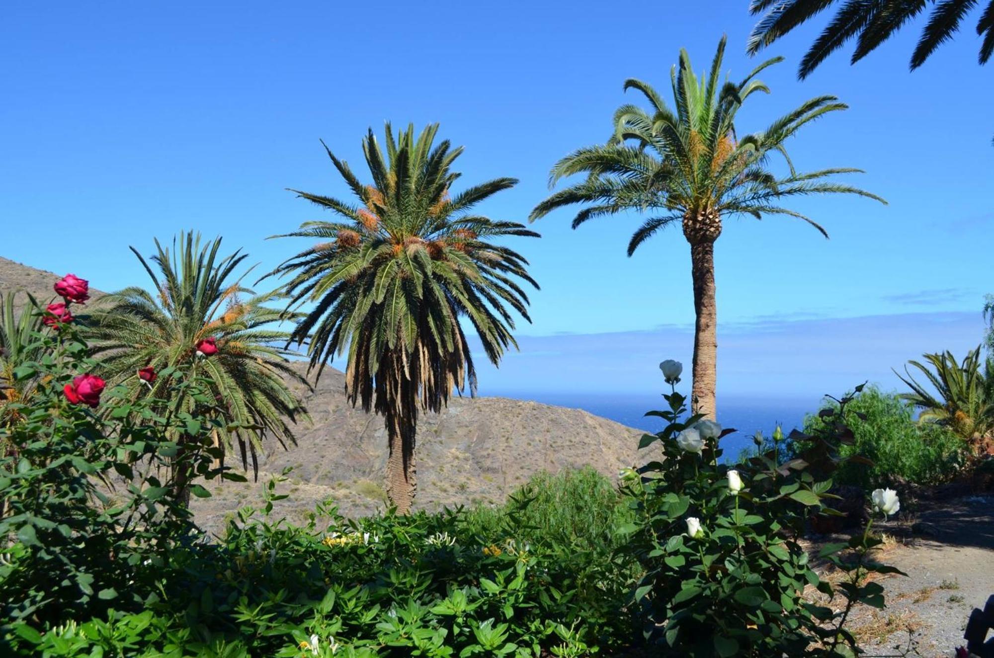 Finca Ossorio Casa Rita บาแญร์โมโซ ภายนอก รูปภาพ