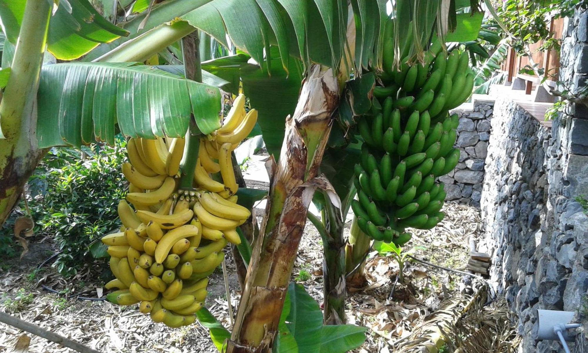 Finca Ossorio Casa Rita บาแญร์โมโซ ภายนอก รูปภาพ